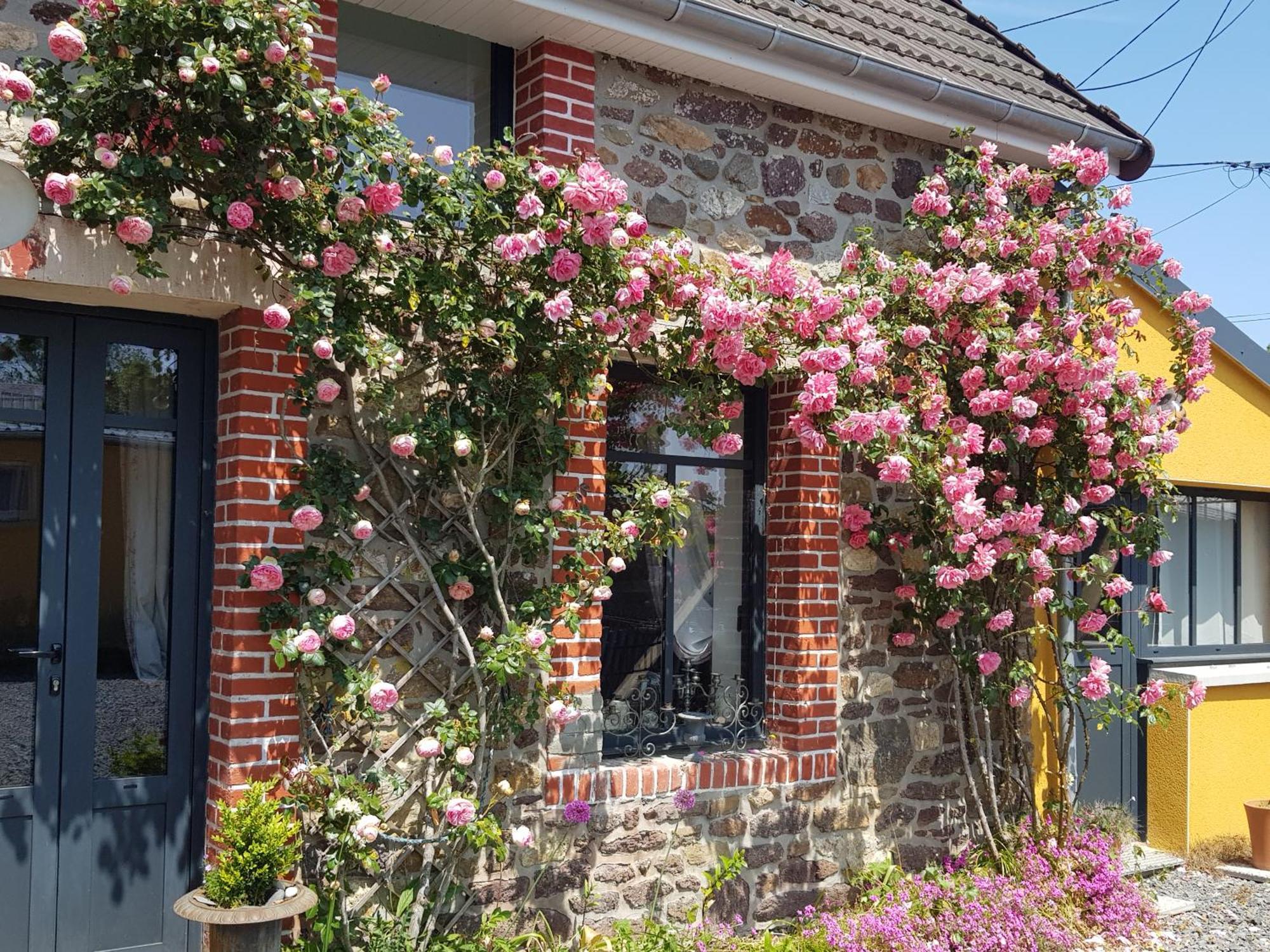 Le Jardin Bed & Breakfast Coudeville Luaran gambar